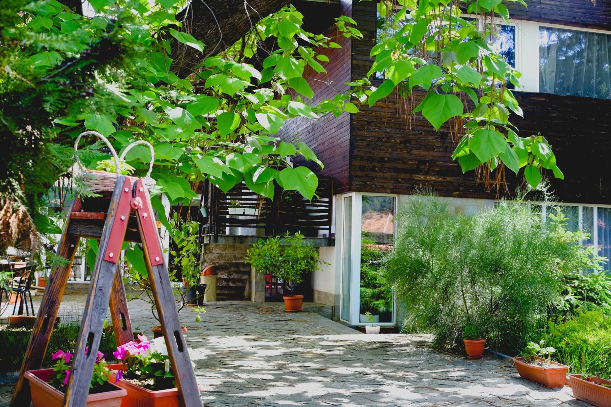 Villa "Forest Way" Pirdop Екстер'єр фото